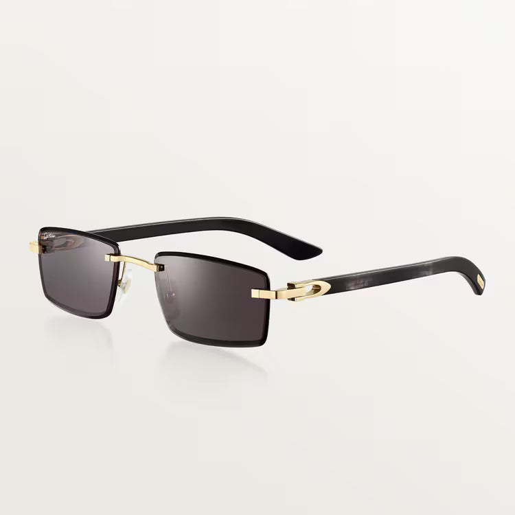 Image of Cartier - sunglasses