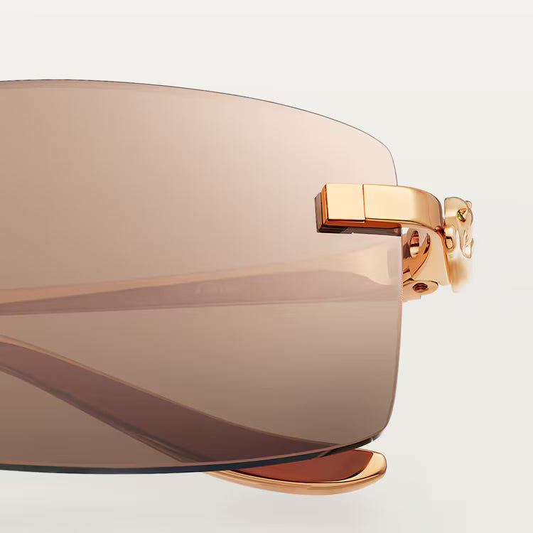 Image of Cartier - sunglasses