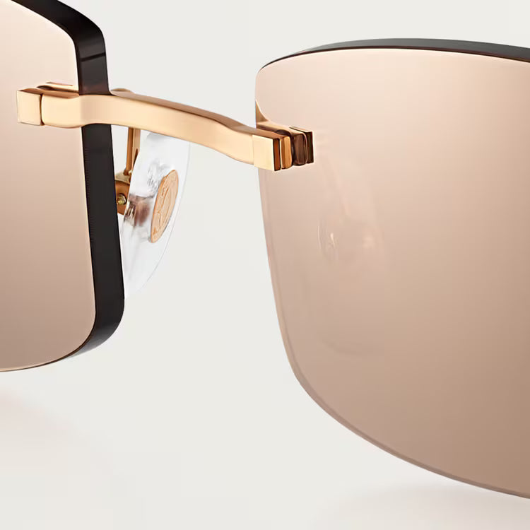 Image of Cartier - sunglasses