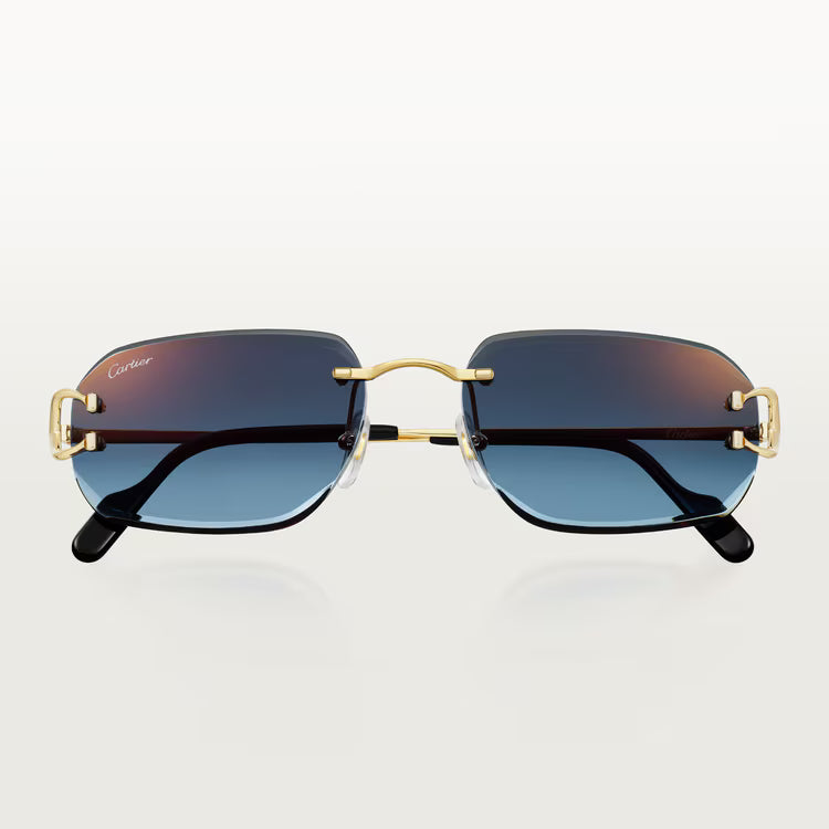 Image of Cartier - sunglasses