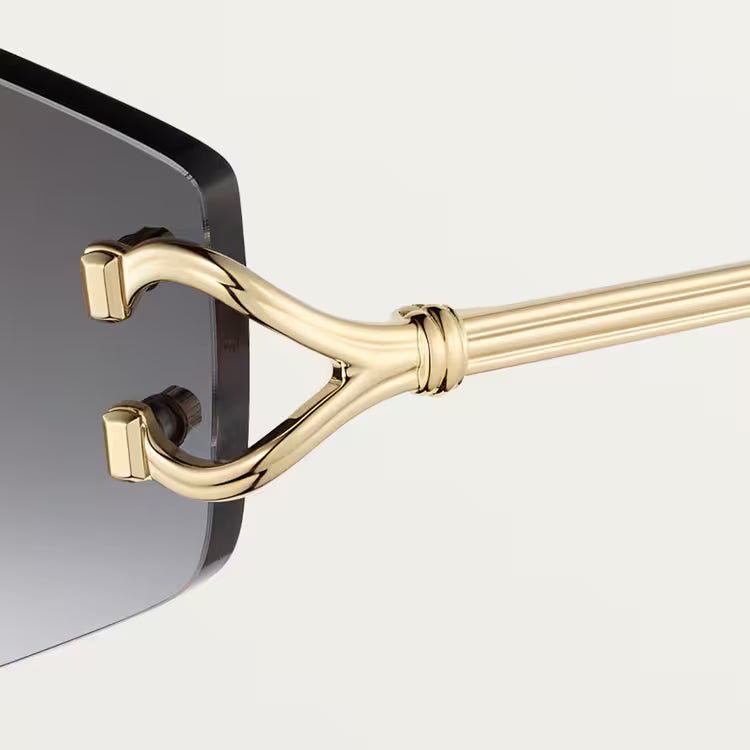 Image of Cartier - sunglasses