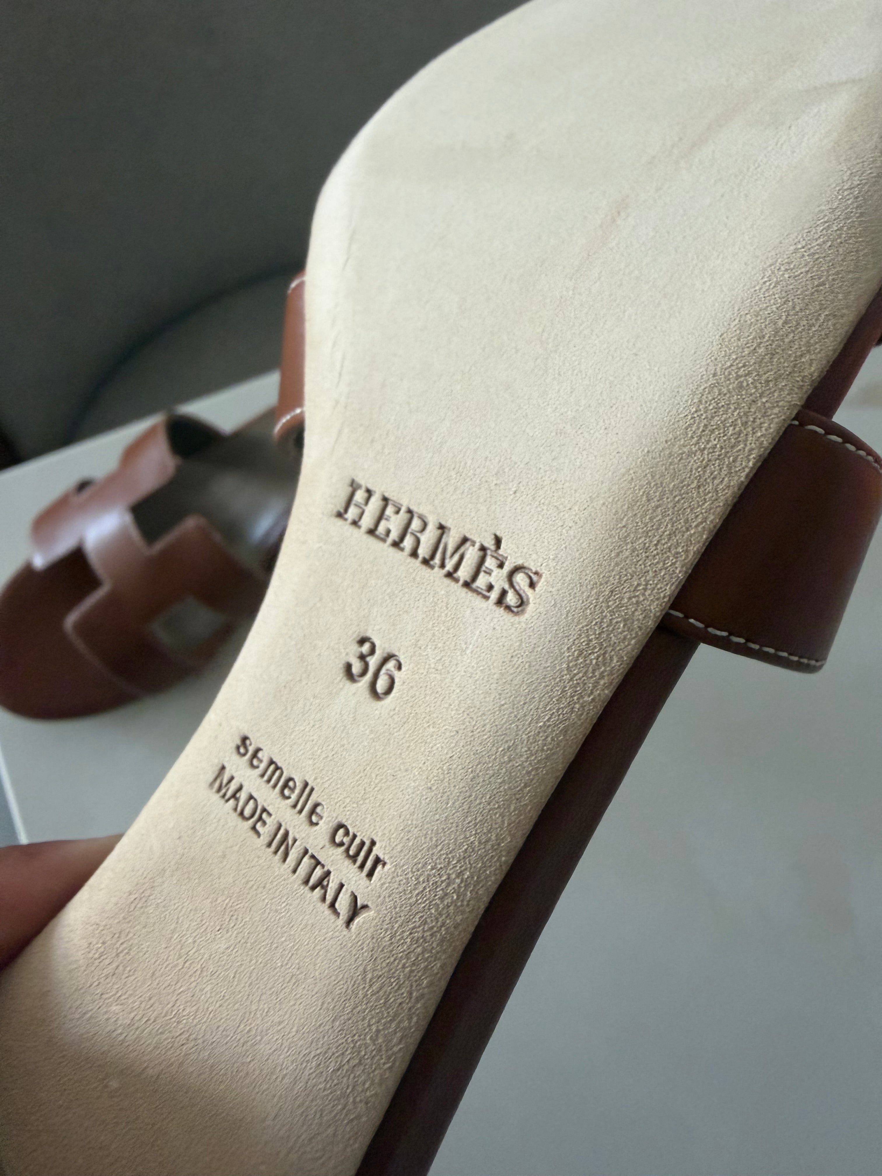Image of Hermes Oasis במלאי