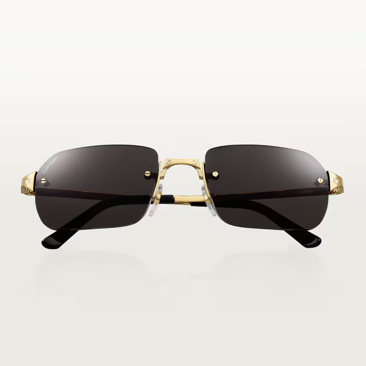 Image of Cartier - sunglasses