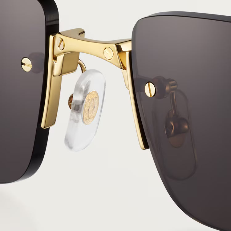 Image of Cartier - sunglasses