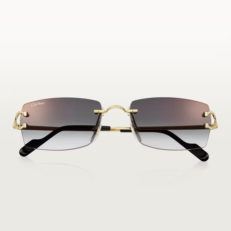 Image of Cartier - sunglasses