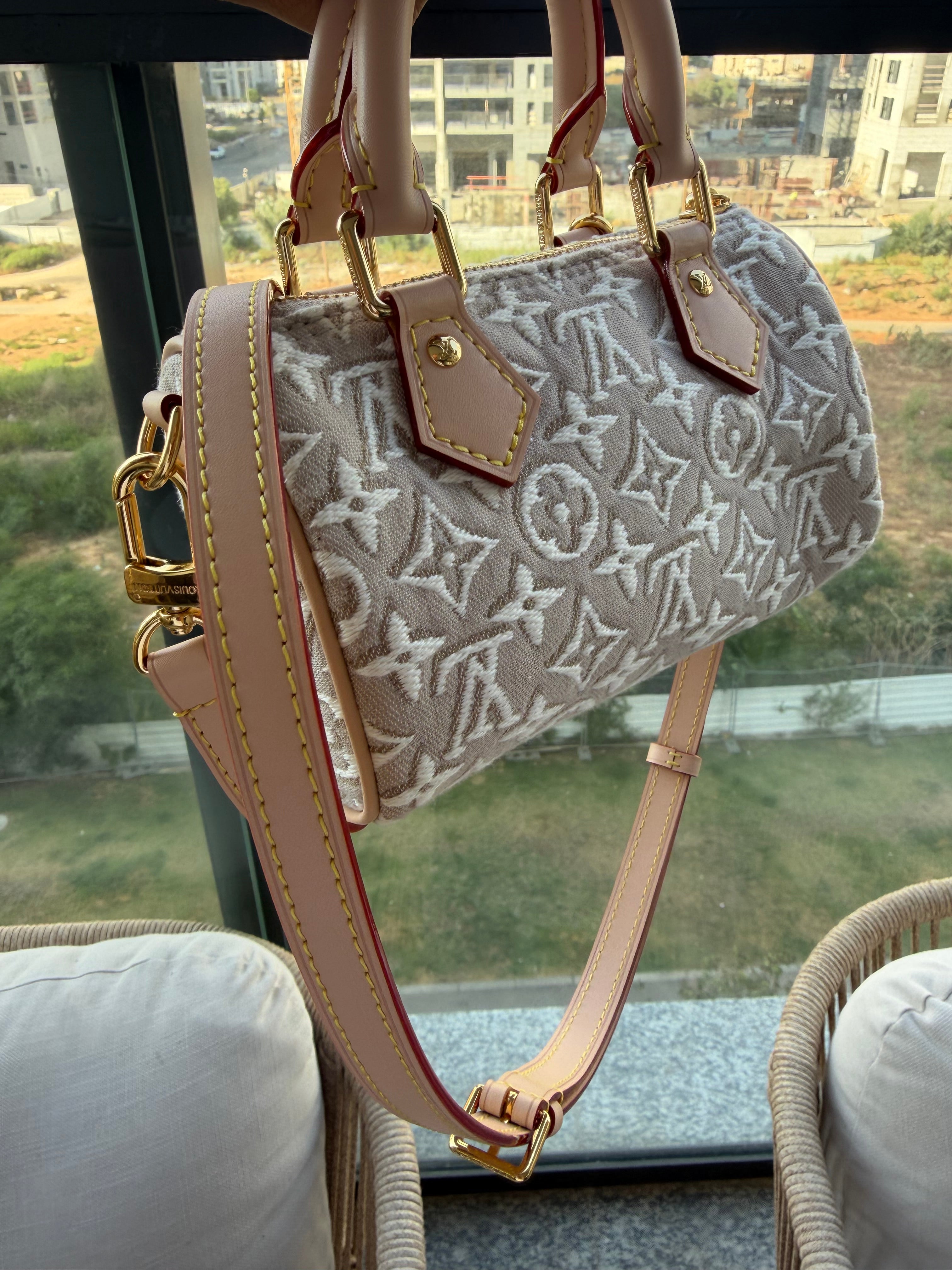 Image of LV nano bag במלאי