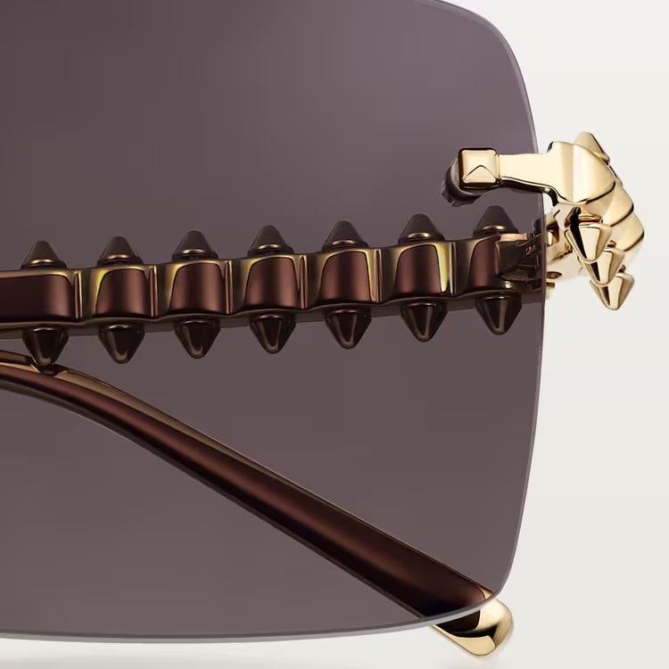 Image of Cartier - sunglasses