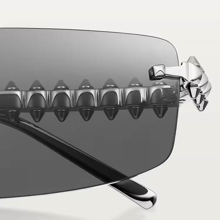 Image of Cartier - sunglasses