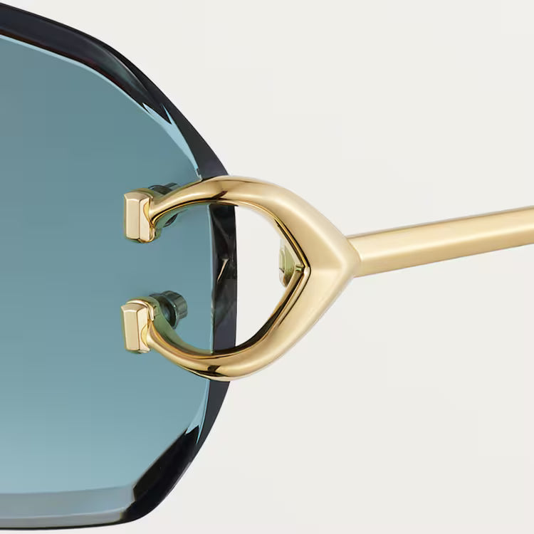 Image of Cartier - sunglasses