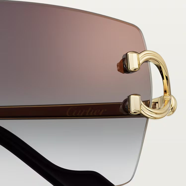 Image of Cartier - sunglasses