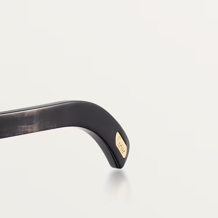 Image of Cartier - sunglasses